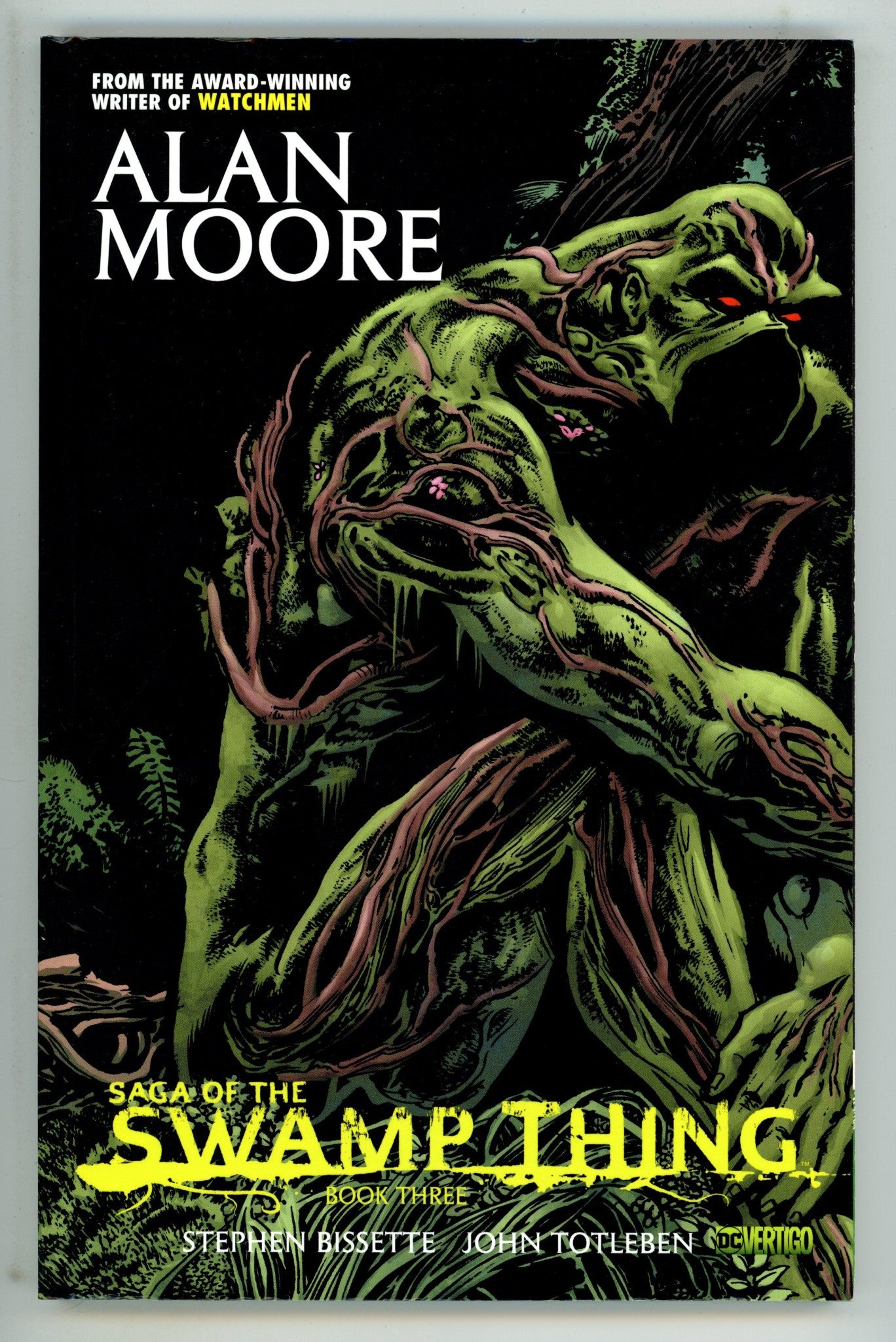 Saga of the Swamp Thing TPB Vol 3 Mid Grade 8th Print (2013) 