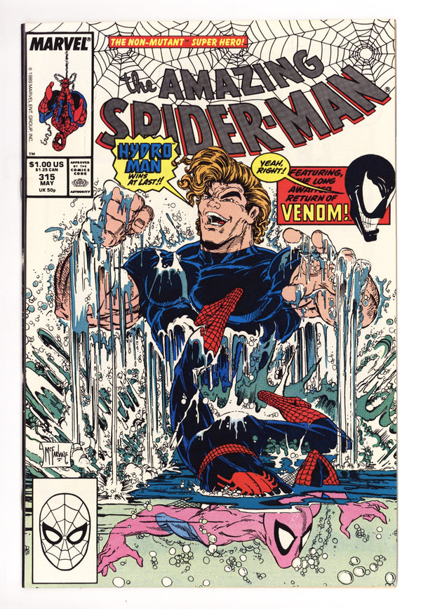 The Amazing Spider-Man Vol 1 315 NM- (9.2) (1989)