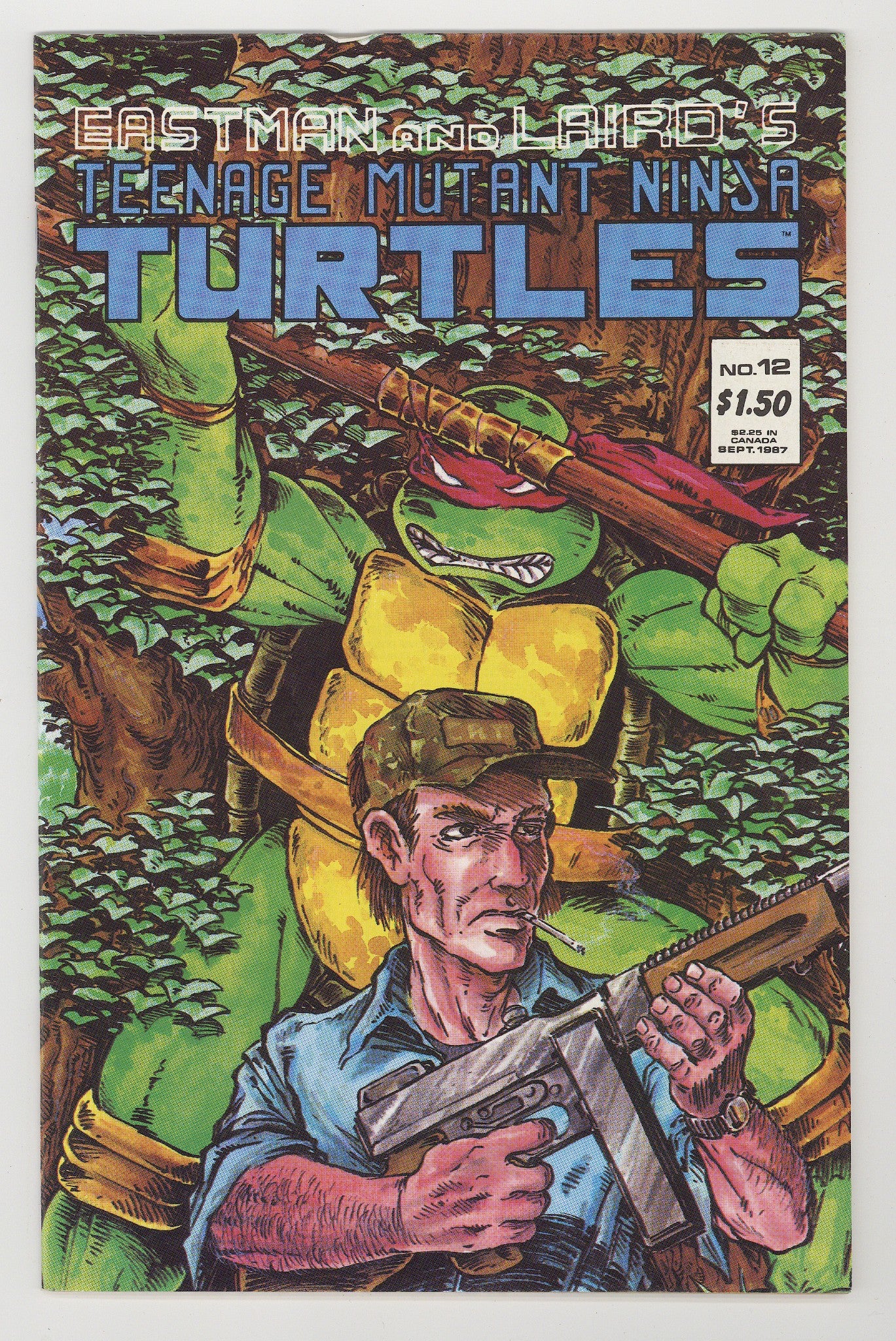 Teenage Mutant Ninja Turtles Vol 1 12 VF- (7.5) (1987) 
