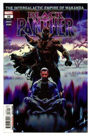 Black Panther Vol 7 16 (188) High Grade (2019)