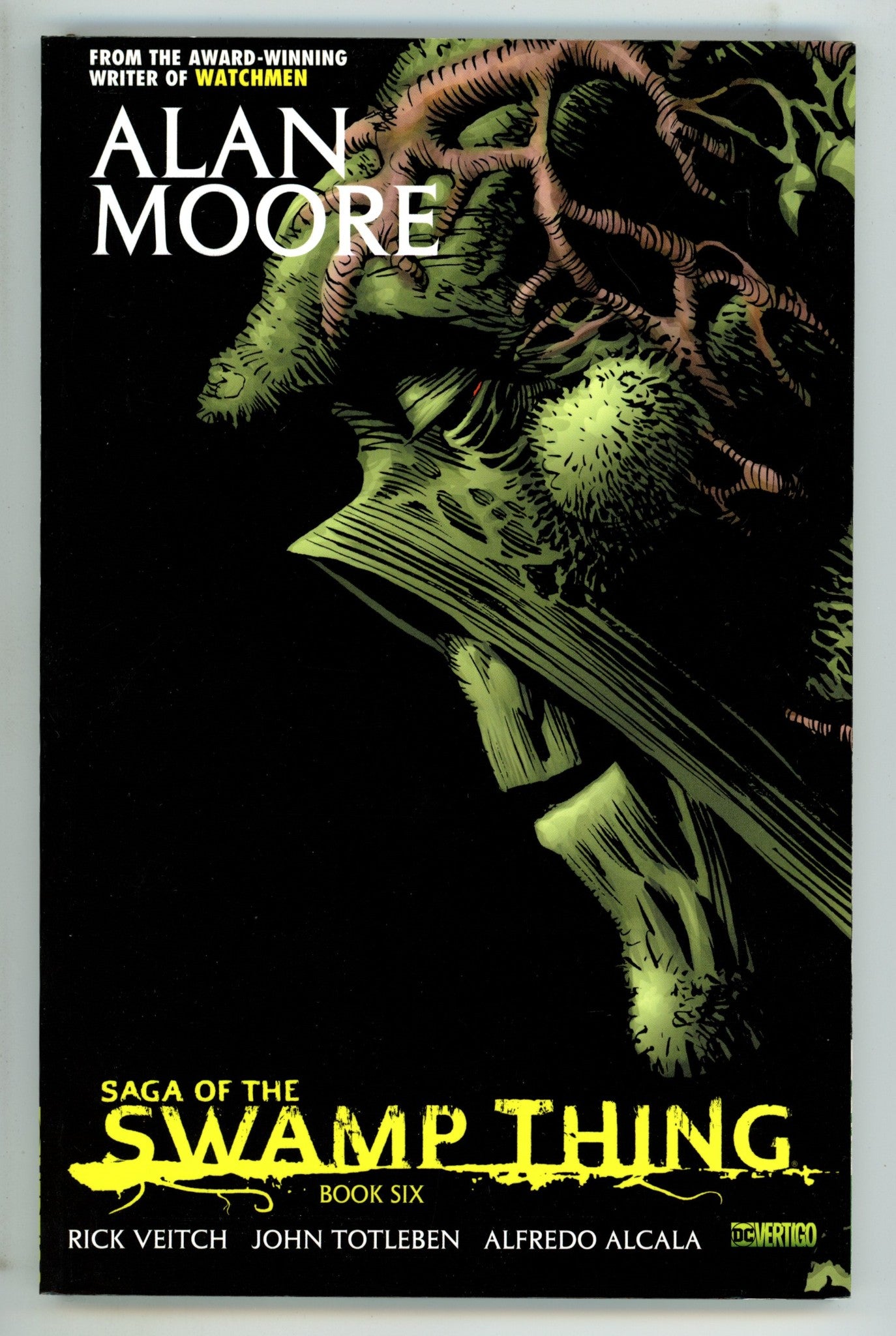 Saga of the Swamp Thing TPB Vol 6 Mid Grade 6th Print (2014) 