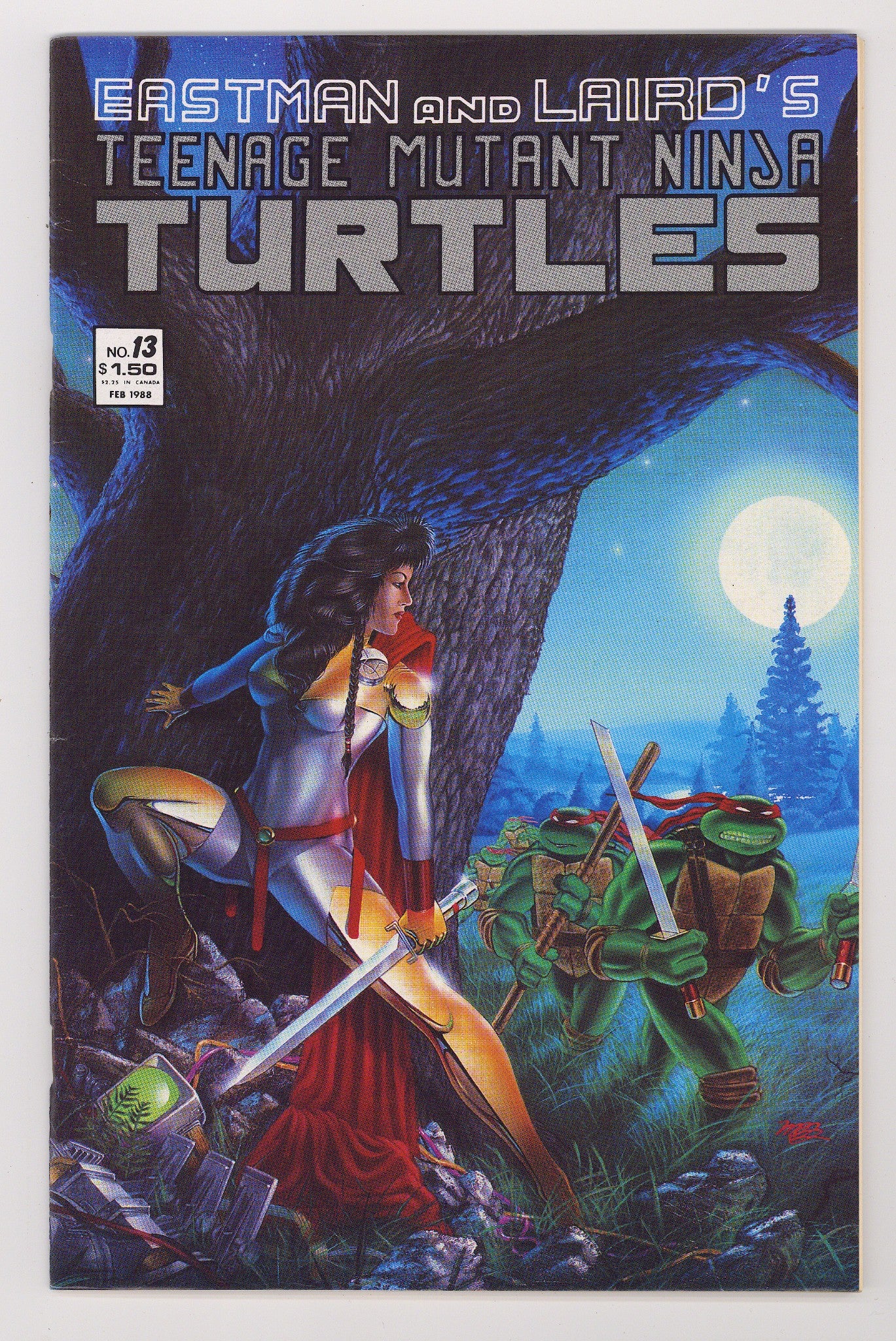 Teenage Mutant Ninja Turtles Vol 1 13 FN/VF (7.0) (1988) 