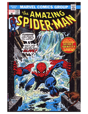 The Amazing Spider-Man Omnibus HC Vol 5 5 High Grade (2021) 2nd Print
