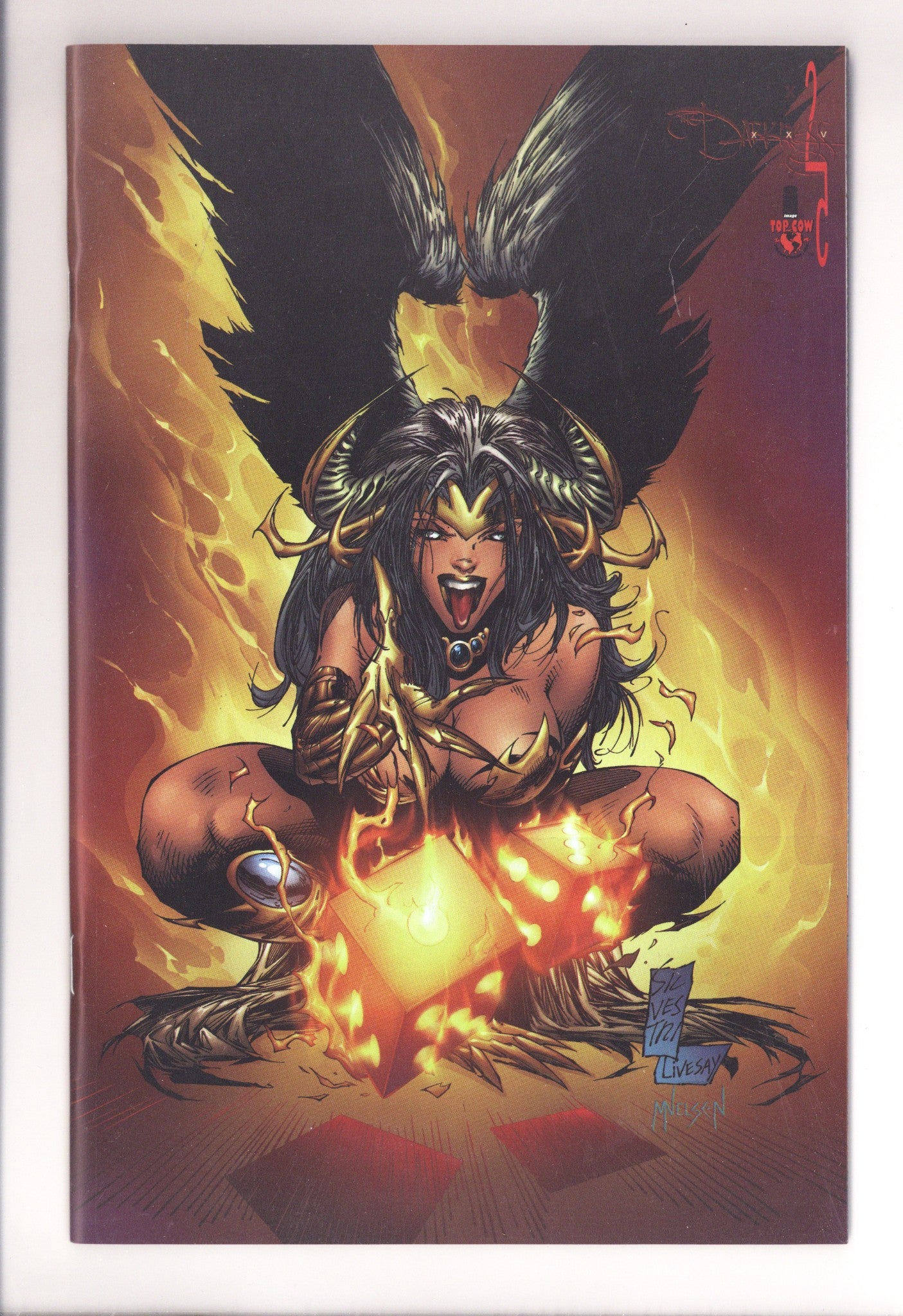 The Darkness Vol 1 25 NM- (9.2) (1999) Silvestri Holochrome Variant 