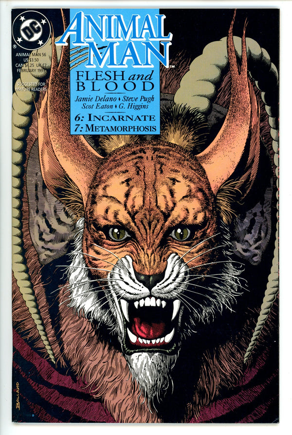 Animal Man Vol 1 56 (1993)