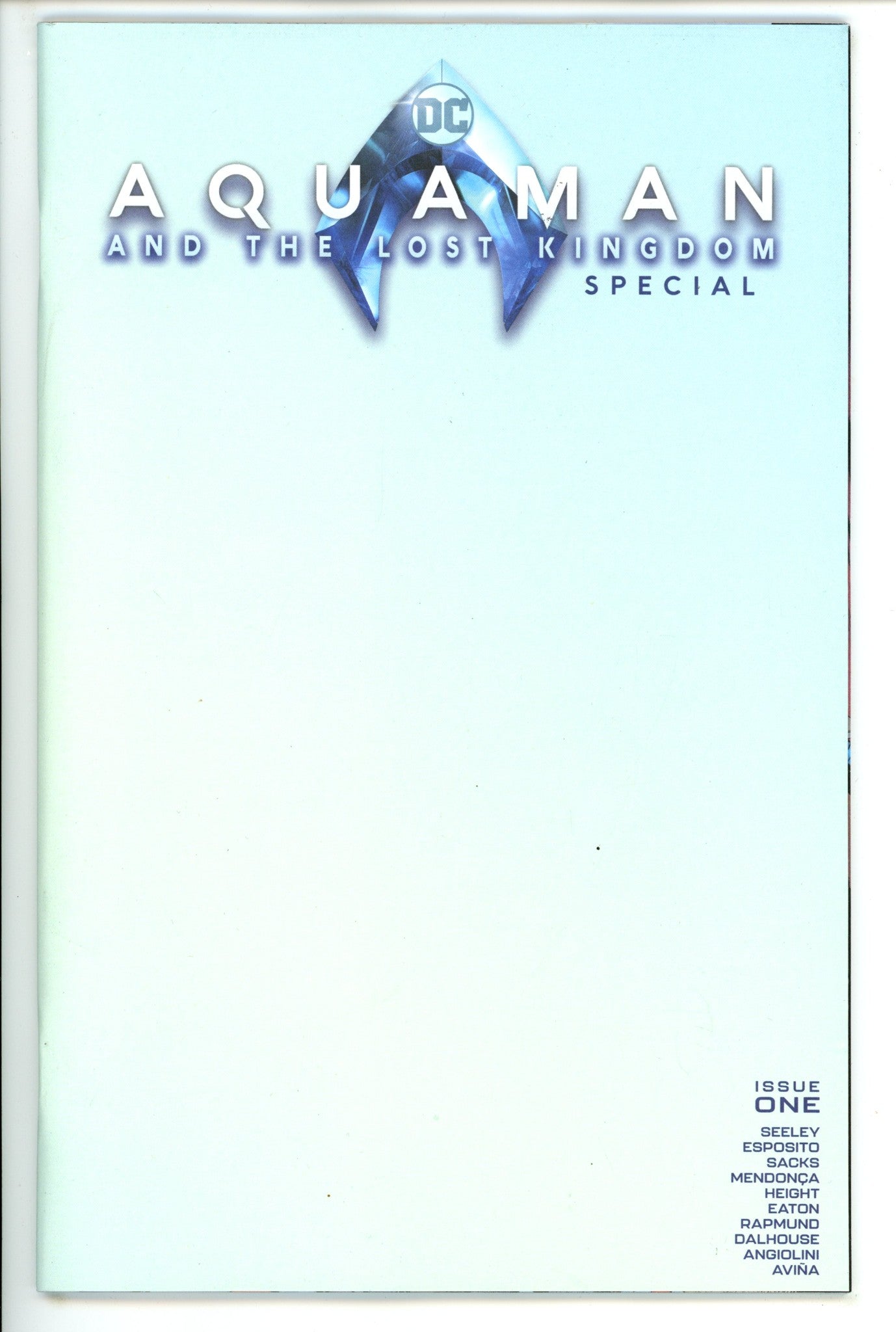 Aquaman And The Lost Kingdom Special 1 Blank Variant (2023)