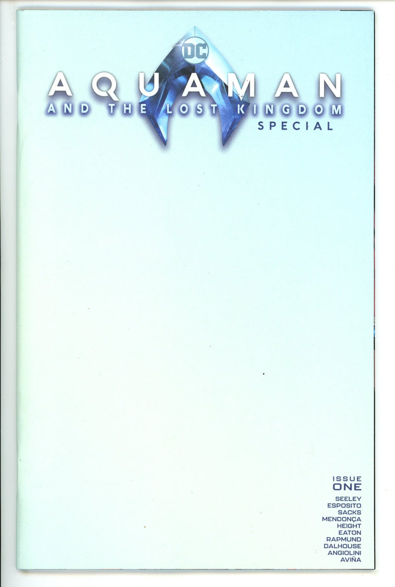 Aquaman And The Lost Kingdom Special 1 Blank Variant (2023)