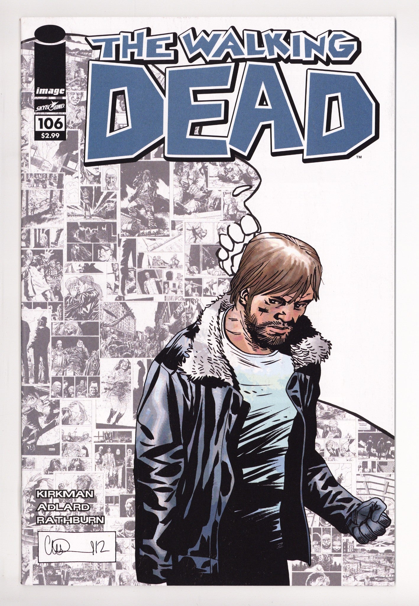 The Walking Dead 106 High Grade (2013) Adlard Variant 