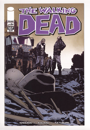 The Walking Dead 107 High Grade (2013)