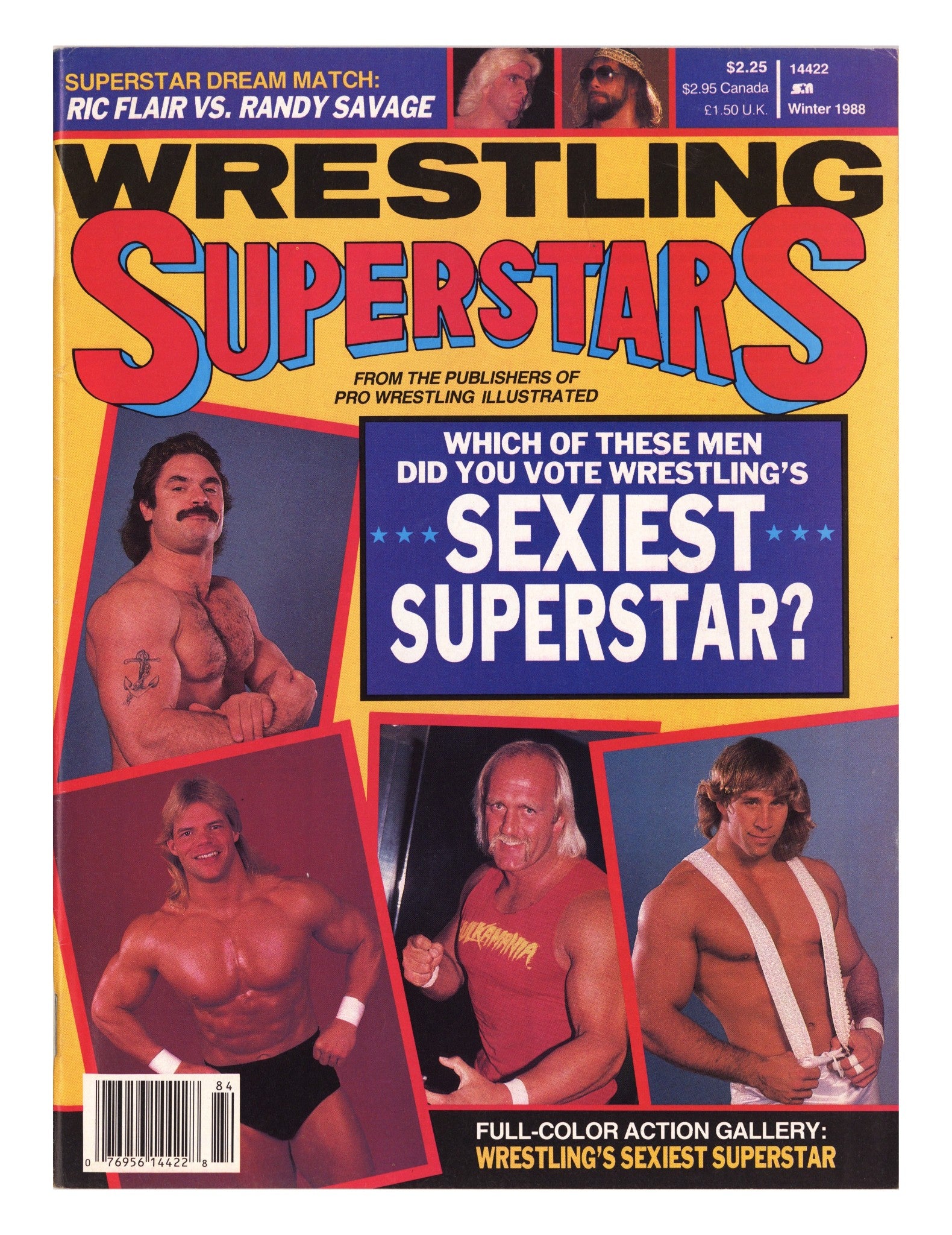 Wrestling Superstars Winter Low Grade (1988) 