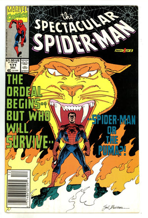 The Spectacular Spider-Man Vol 1 171  Mid Grade   (1990)   Newsstand