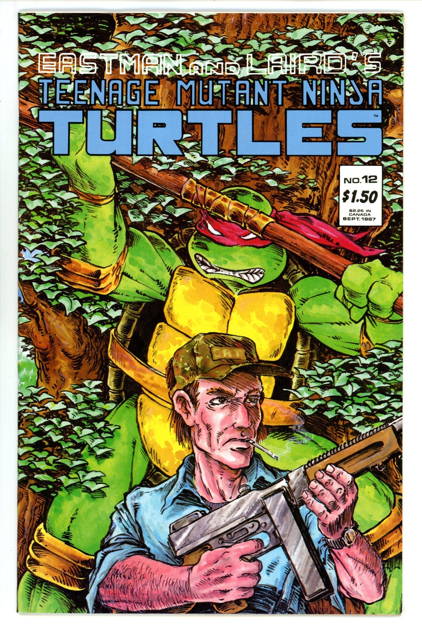Teenage Mutant Ninja Turtles Vol 1 12 VF/NM (9.0) (1987) 