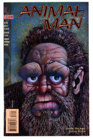 Animal Man Vol 1 66 (1993)