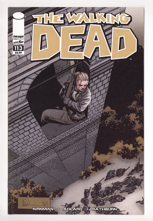 The Walking Dead 113 High Grade (2013)