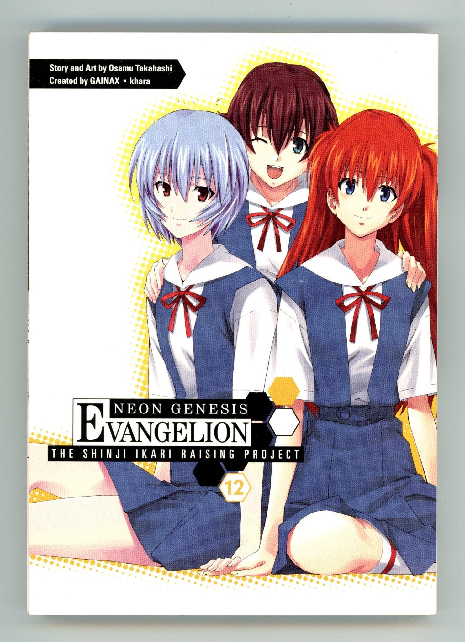 Neon Genesis Evangelion: The Shinji Ikari Raising Project Vol 12 High Grade TPB (2012) 