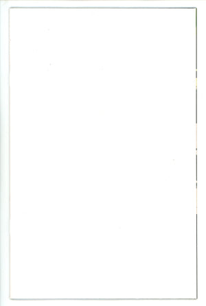 Birds Of Prey Vol 6 1 Blank Variant (2023)