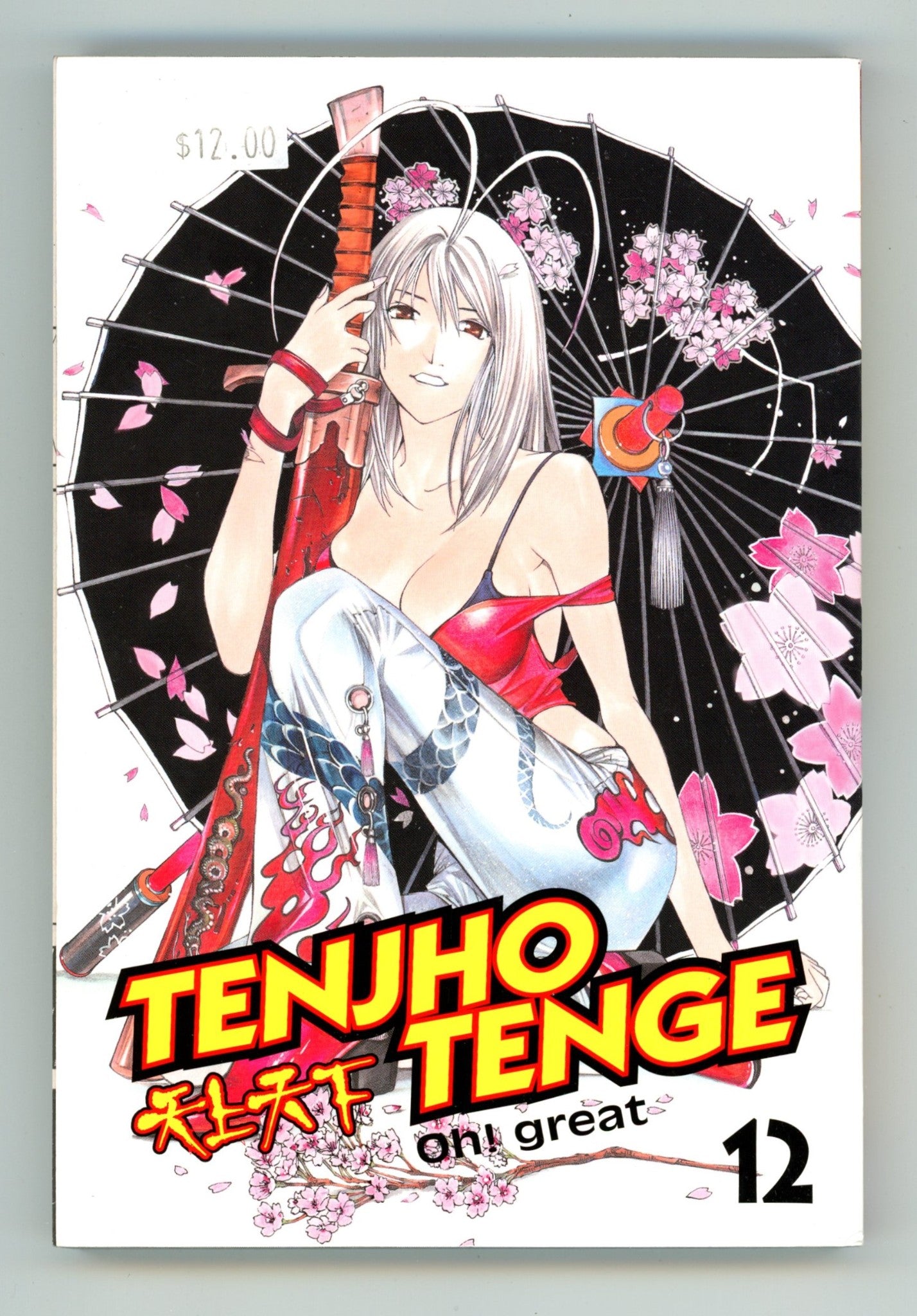 Tenjho Tenge Vol 12 High Grade TPB (2007) 