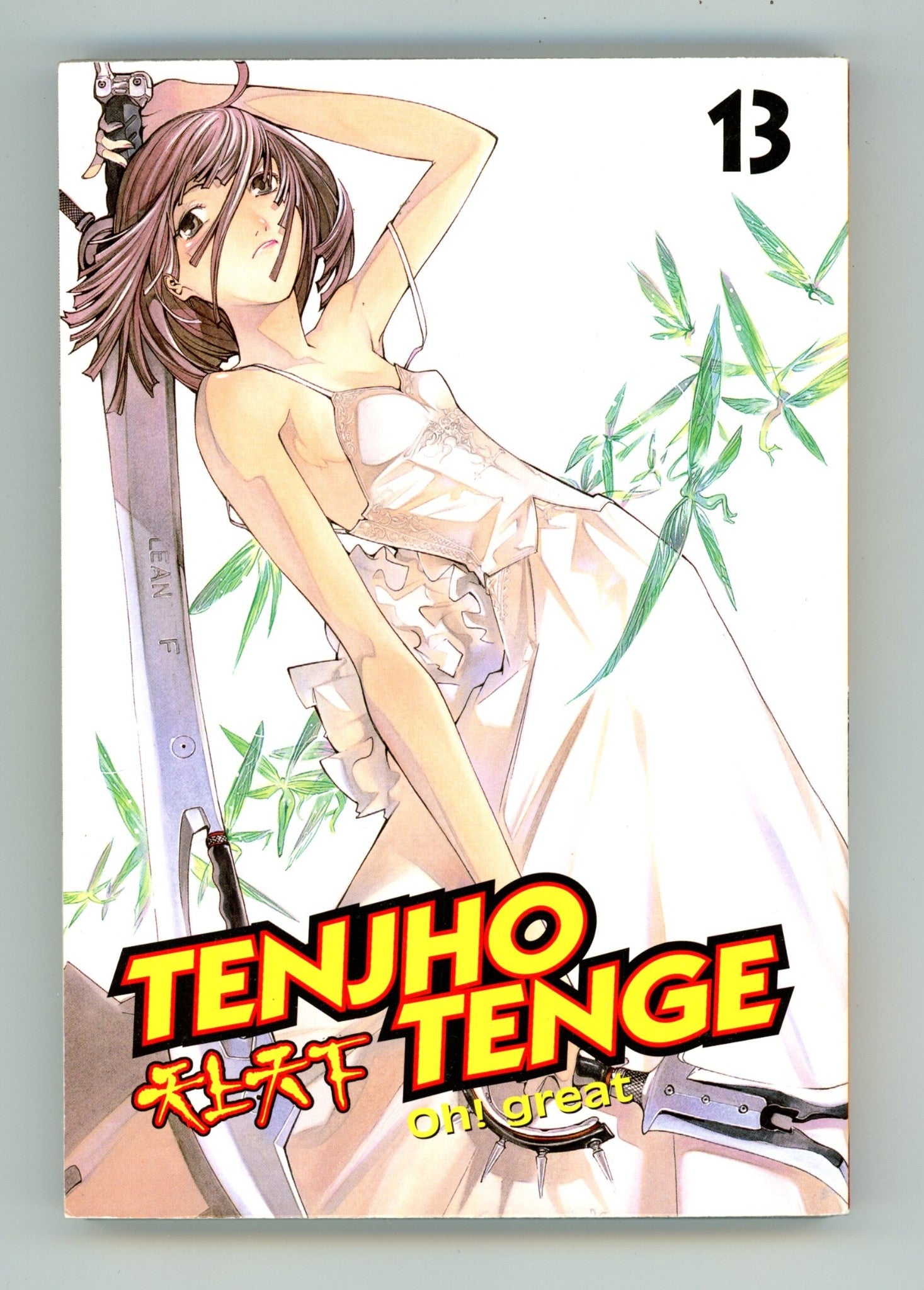 Tenjho Tenge Vol 13 High Grade TPB (2007) 