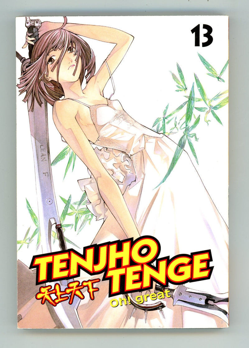 Tenjho Tenge Vol 13 High Grade TPB (2007) 