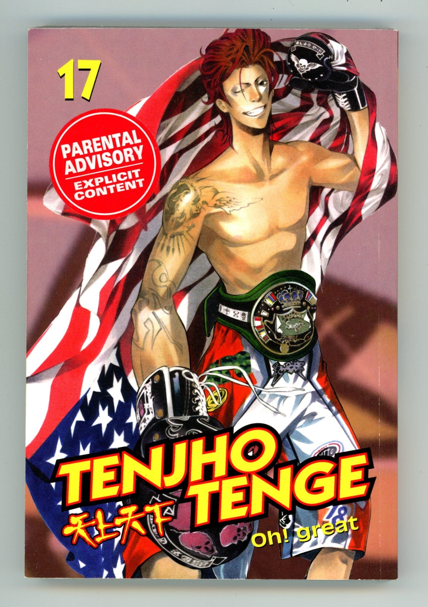 Tenjho Tenge Vol 17 High Grade TPB (2008) 