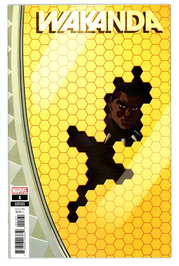 Wakanda Vol 1 1 High Grade (2022) Reilly Variant