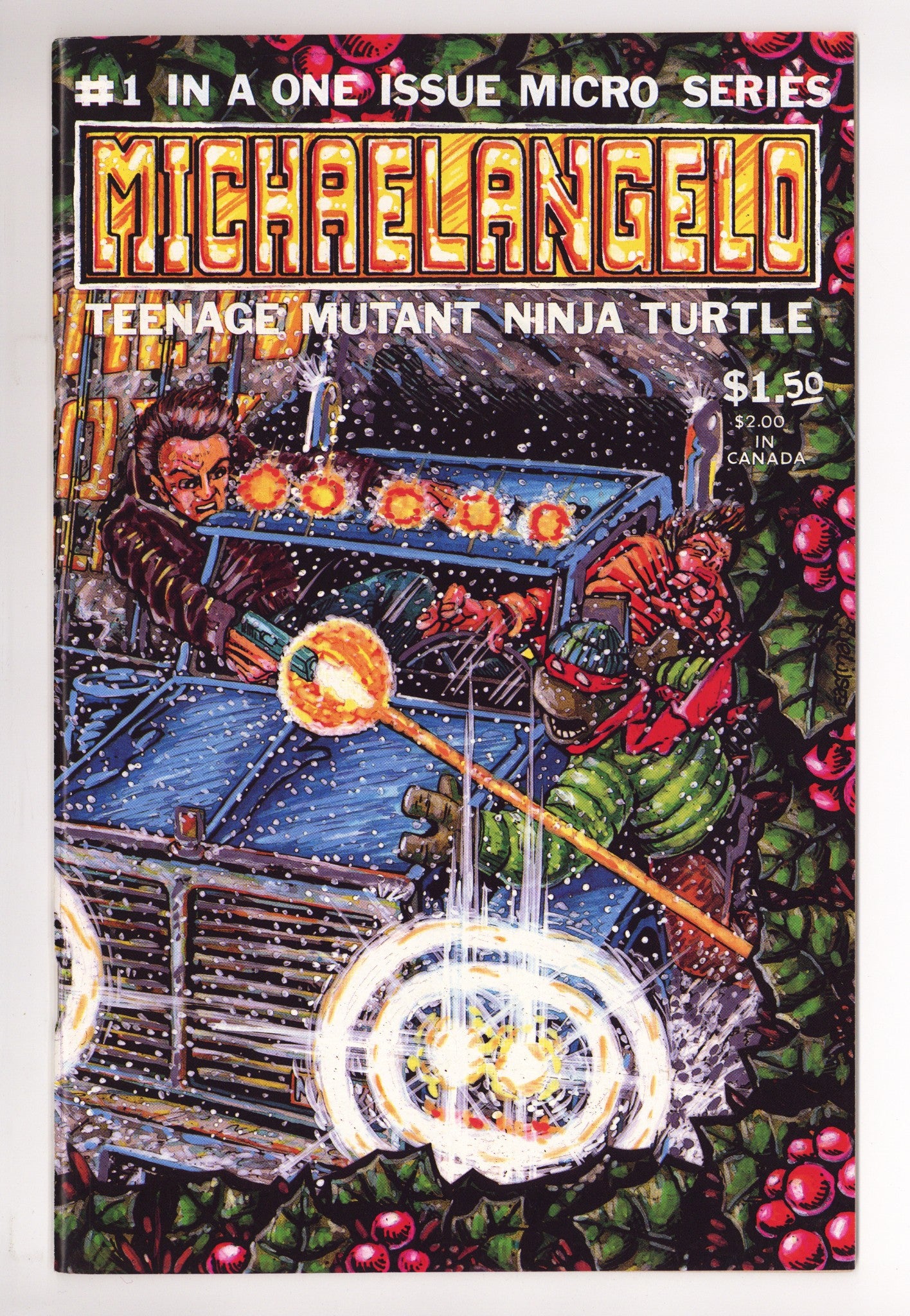 Michaelangelo, Teenage Mutant Ninja Turtle 1 VF (8.0) (1985) 