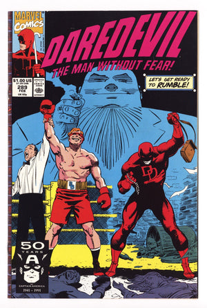 Daredevil Vol 1 289  Mid Grade   (1991)