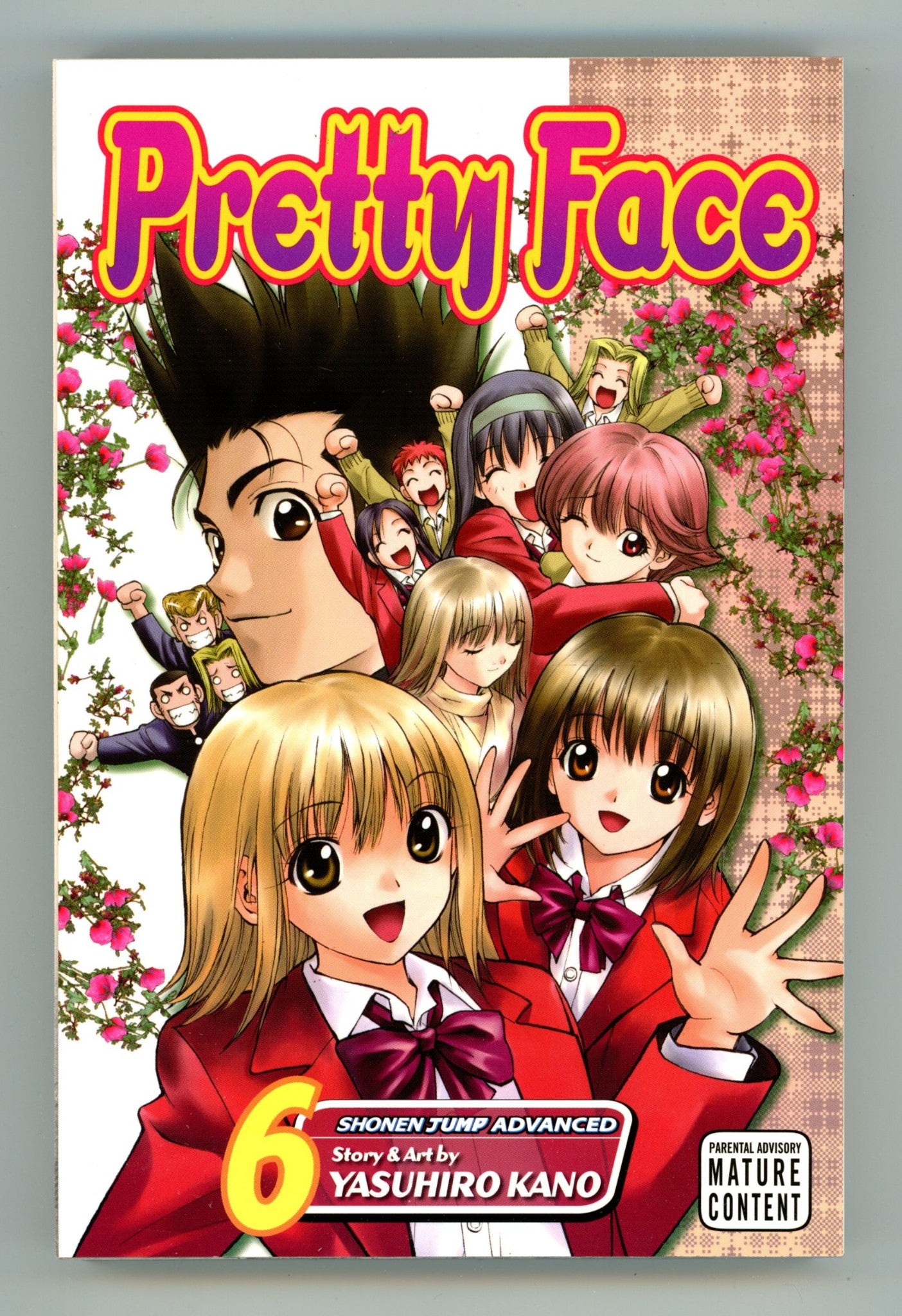Pretty Face Vol 6 High Grade TPB (2008) 