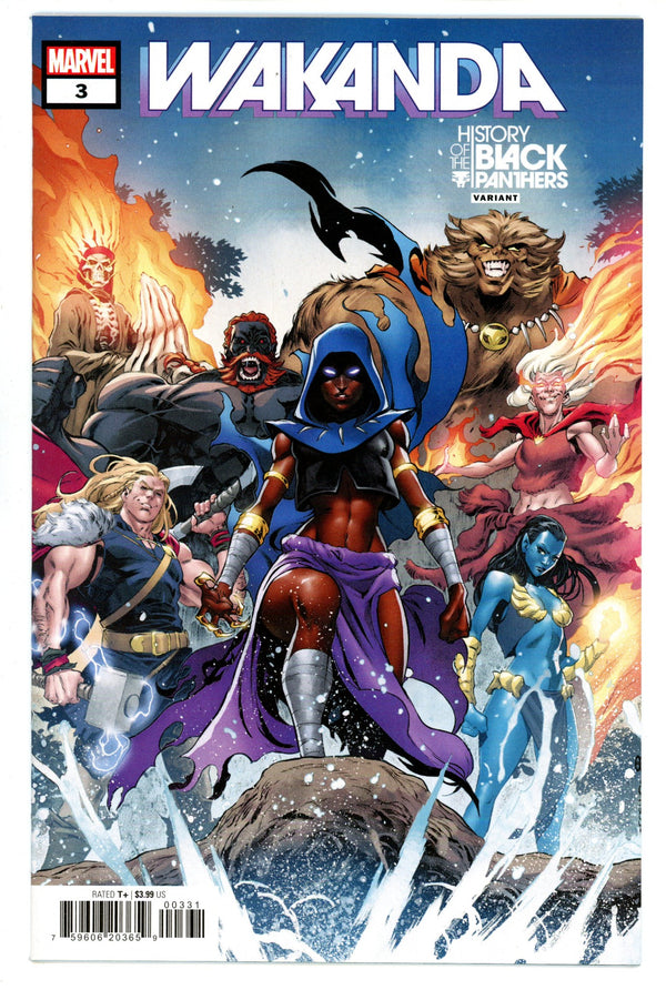 Wakanda Vol 1 3 High Grade (2023) Coello Variant