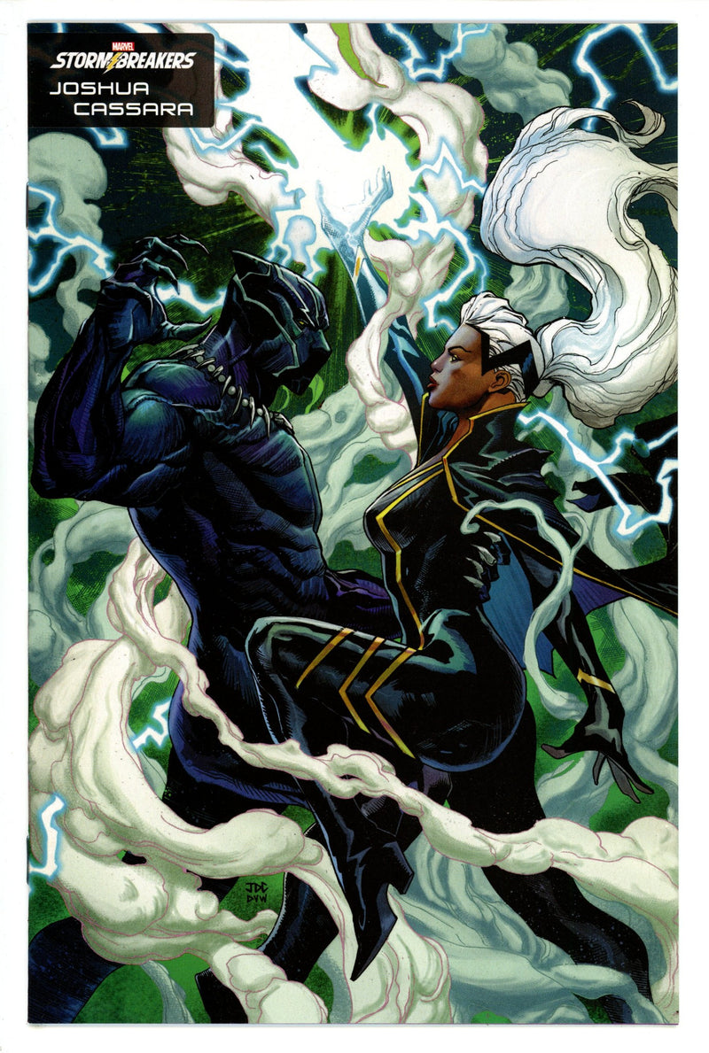 Black Panther Legends 2 High Grade (2022) Cassara Variant 