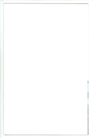 Blue Beetle Vol 11 1 Blank Variant (2023)