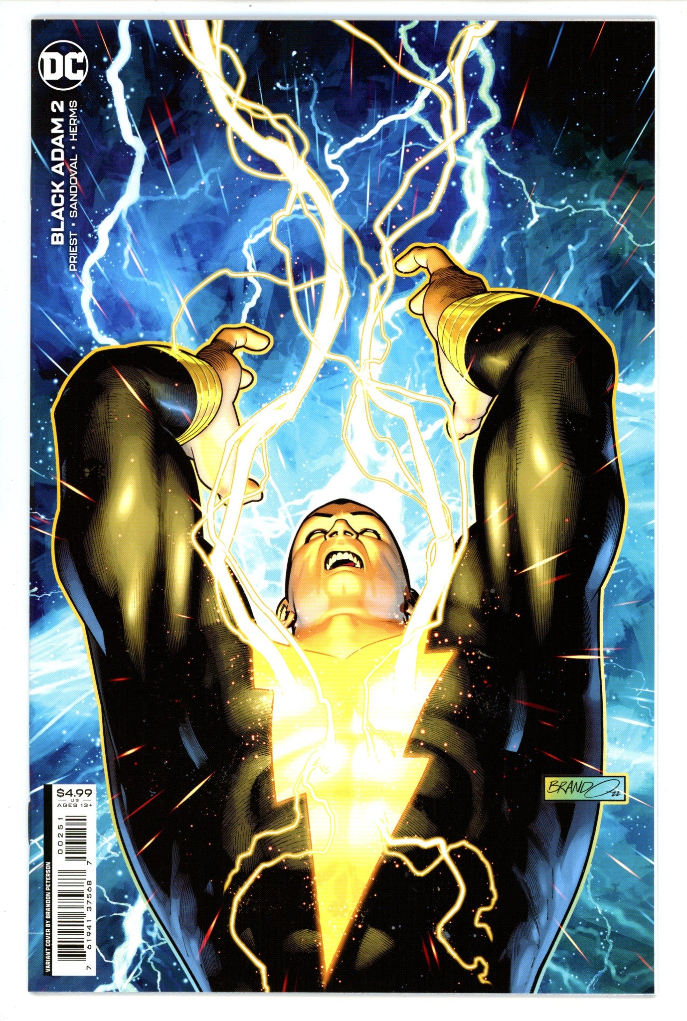 Black Adam Vol 1 2High Grade(2022) PetersonVariant