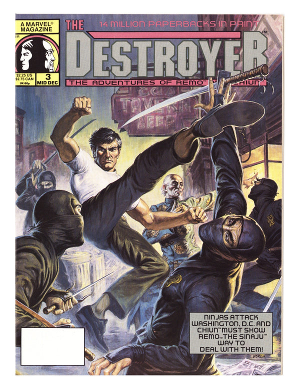 The Destroyer 3 Mid Grade (1990)