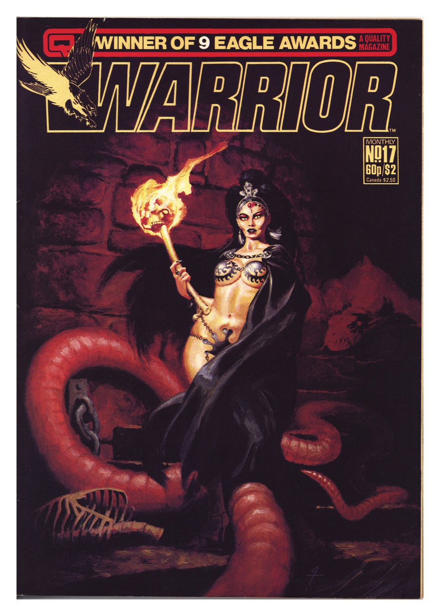Warrior 17 FN/VF (7.0) (1984) 