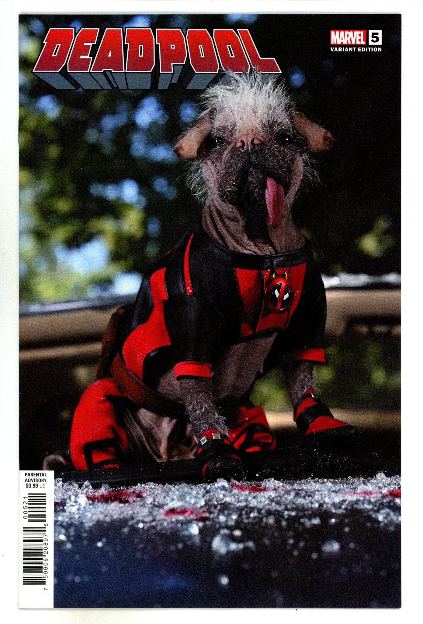 Deadpool Vol 9 5 Photo Variant (2024)