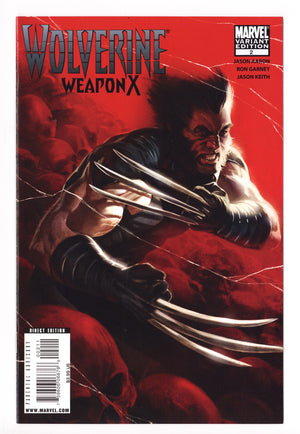 Wolverine Weapon X 2 High Grade (2009) Djurdjevic Variant