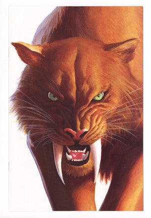 Black Cat Vol 3 2 Ross Virgin Variant (2025)