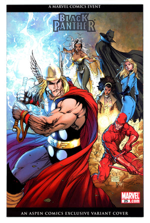 Black Panther Vol 4 25 NM- (9.2) (2007) Turner Exclusive Variant