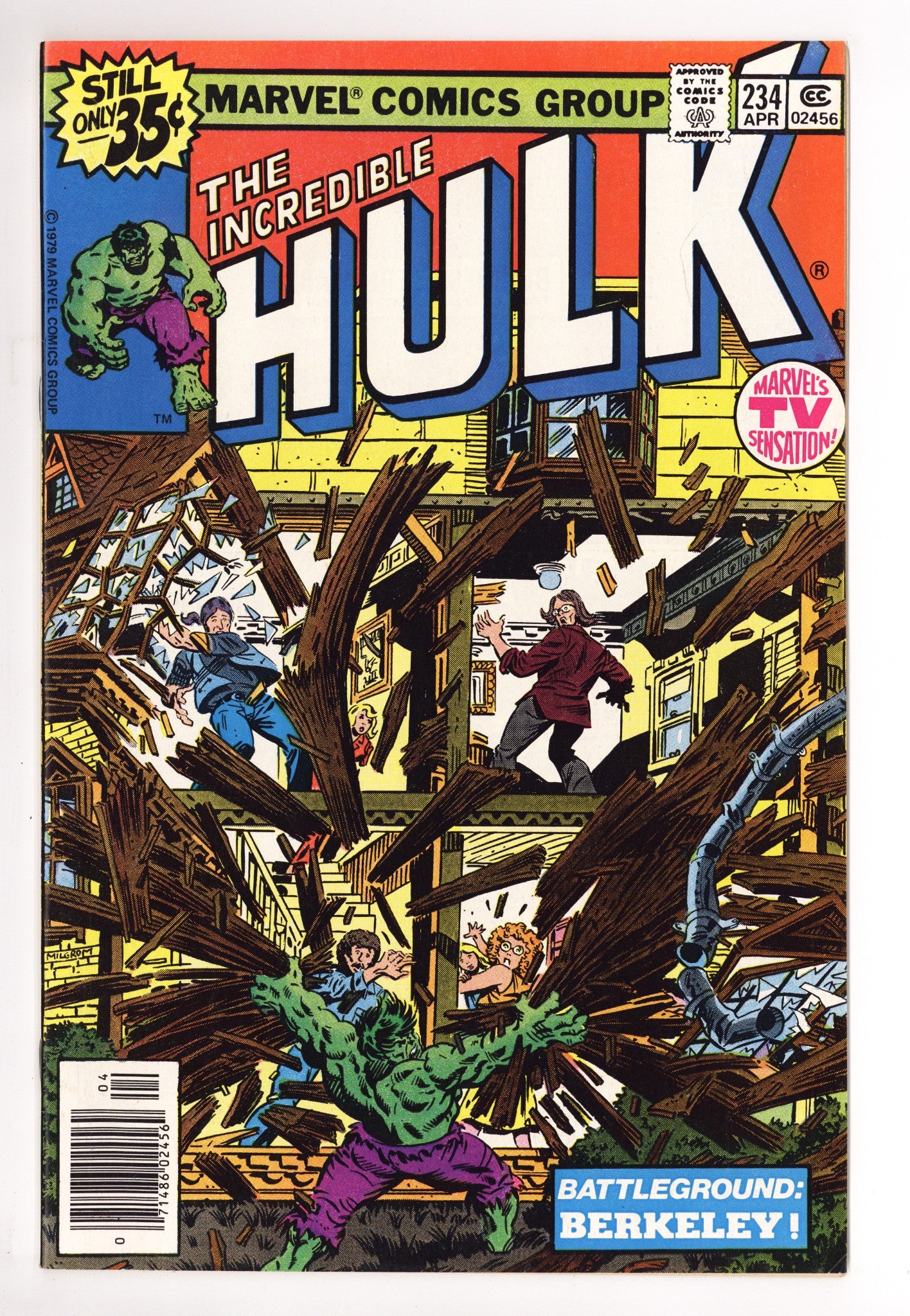 The Incredible Hulk Vol 1 234 VF (8.0) (1979) 