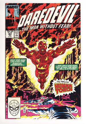 Daredevil Vol 1 261 Mid Grade (1988)