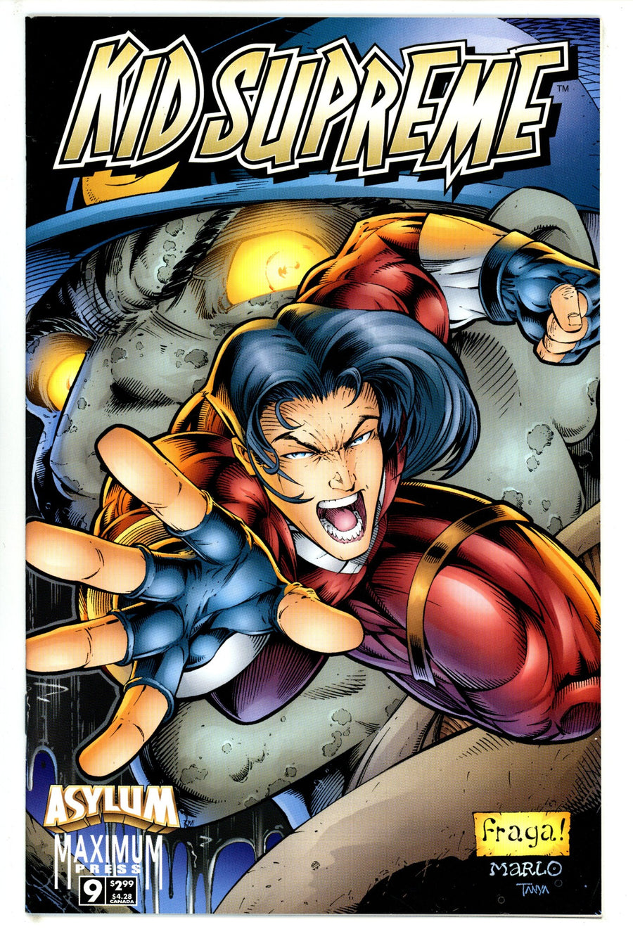 Asylum Vol 1 9 (1996)