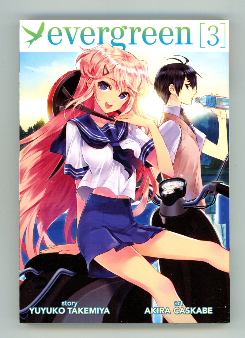 Evergreen Vol 3 High Grade TPB (2015) 