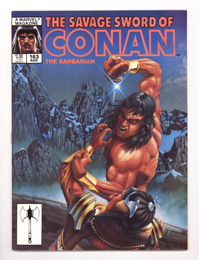 The Savage Sword of Conan Vol 1 163 Mid Grade (1989) 