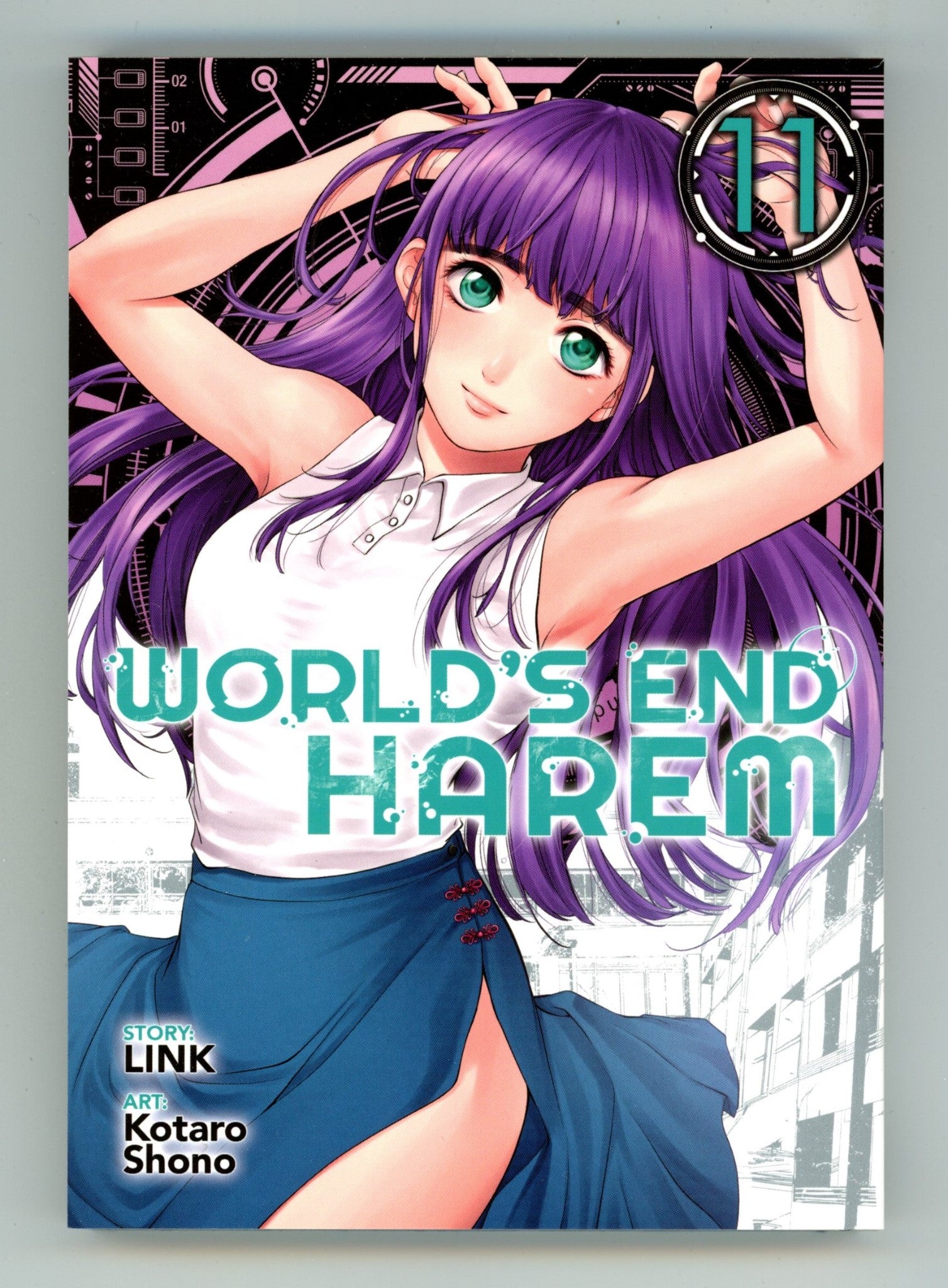 World's End Harem Vol 11 High Grade TPB (2021) 