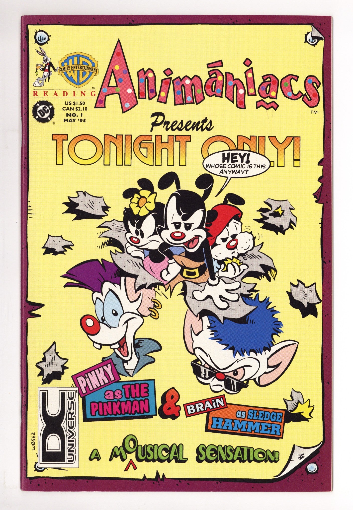 Animaniacs 1 FN/VF (7.0) (1995) DC Universe Logo 