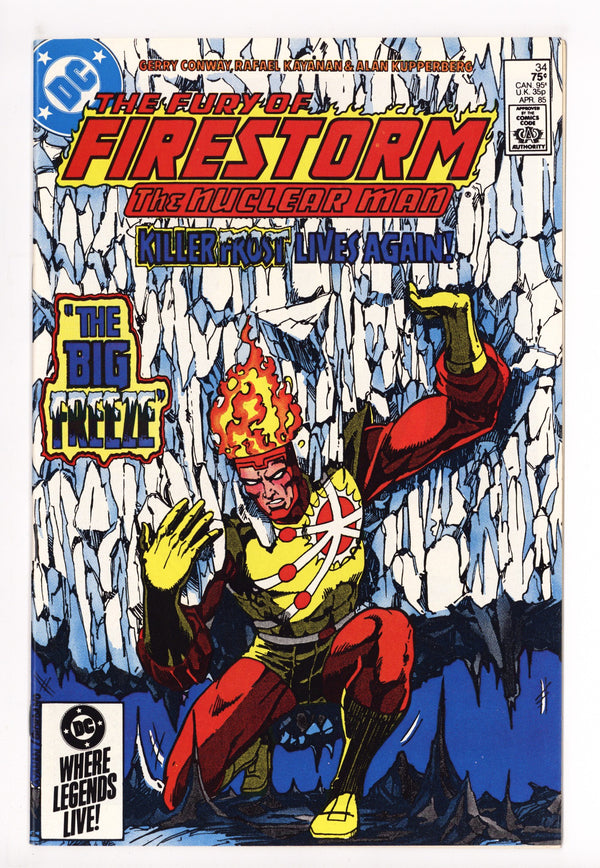 The Fury of Firestorm Vol 2 34 High Grade (1985)