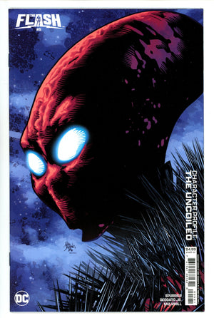 Flash Vol 6 5 Jr. Variant (2024)