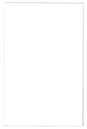 Fire & Ice Teegra 1 Blank White Variant (2024)