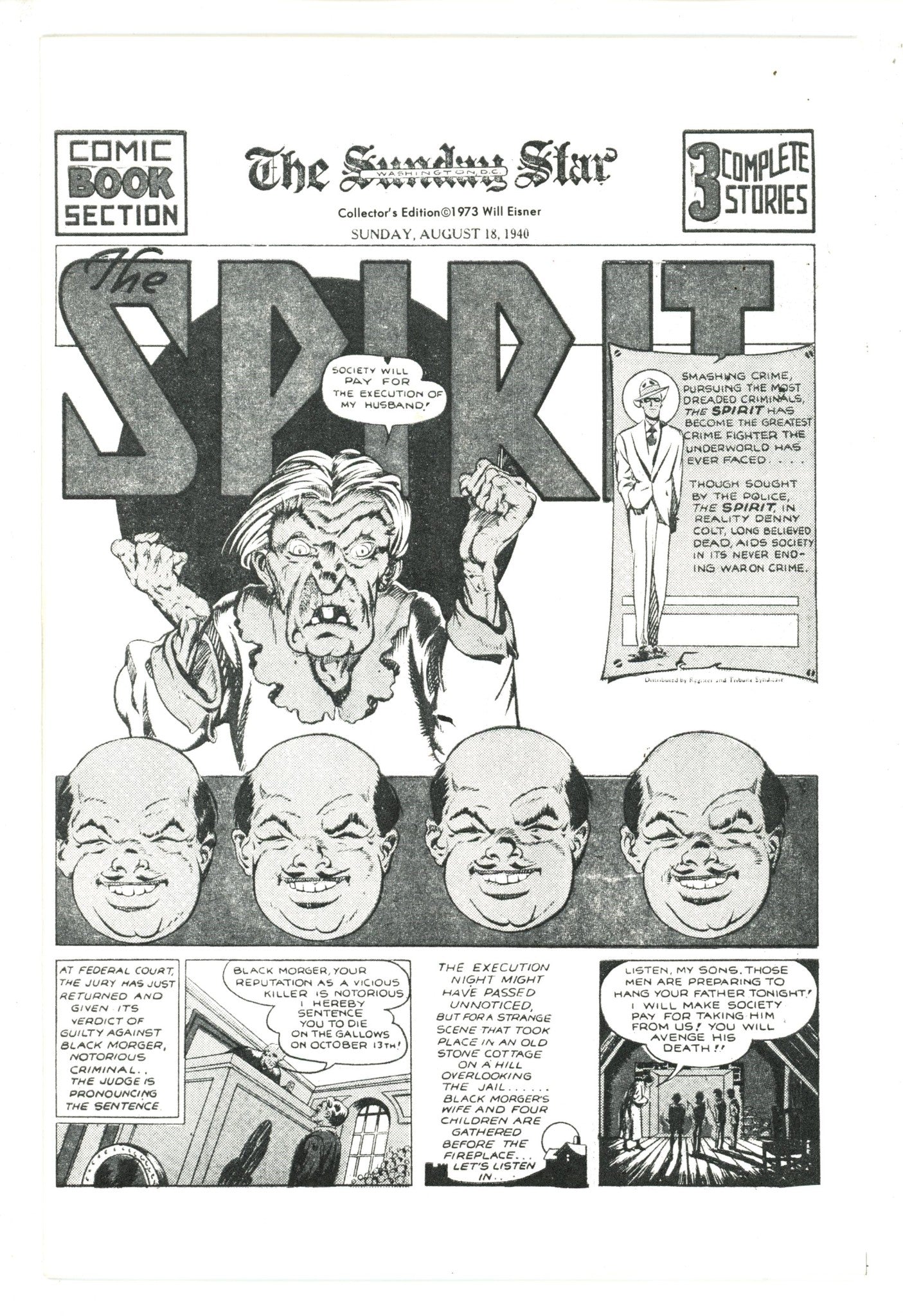 The Spirit: The Hero That Can Fail [nn] Collector'S Edition (1973)