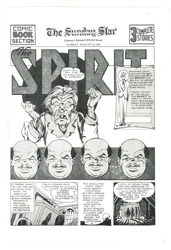 The Spirit: The Hero That Can Fail [nn] Collector'S Edition (1973)